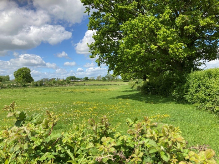 Traditional Camping with Modern Toilets and Showers Near Great Tew & South Newington